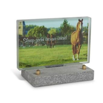 FotoGlas 10x16cm inclusief Tekst + foto: Paarden