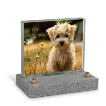 FotoGlas 12x10cm inclusief Tekst + Foto: Hond