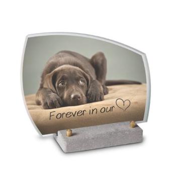 FotoGlas 20x15cm inclusief Tekst + Foto: Hond